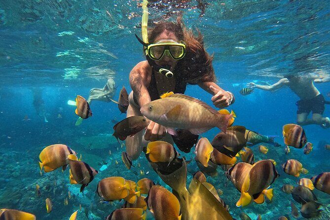 Explore 4 iconic snorkeling spots of Manta Bay in Nusa Penida - Who should consider this tour?