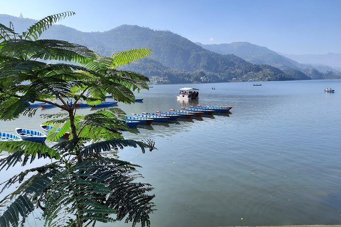Explore 8 Lakes in Pokhara - The Bird Wetlands and Nature
