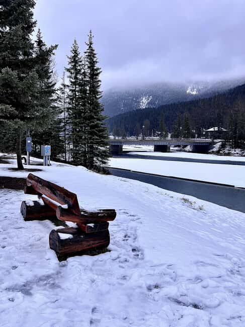 Explore 9 Spots: Private Customizable Banff Icefield Tour - Who Is This Tour Best For?