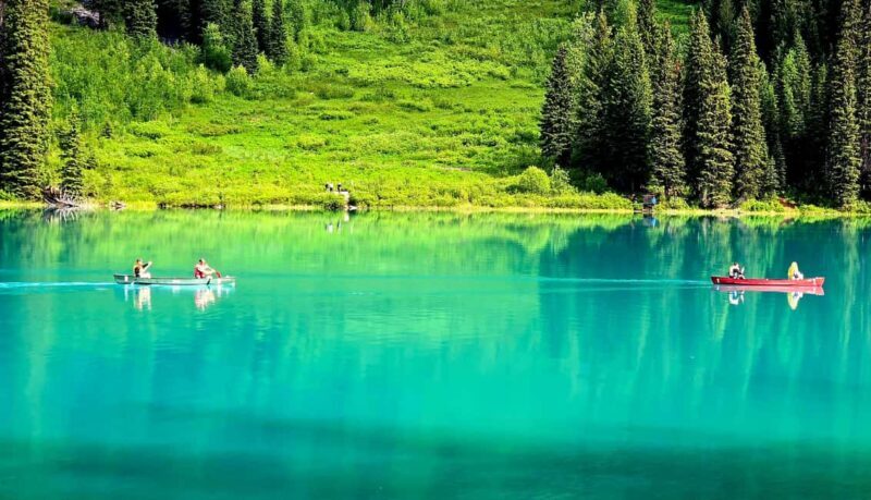 Explore 9 Spots: Private Customizable Banff Icefield Tour - FAQ