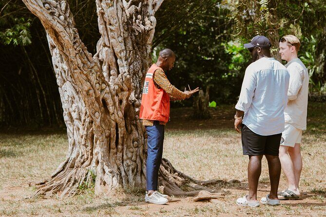 Explore Aburi Botanical Gardens And Boti Falls - A Closer Look at the Tour Experience