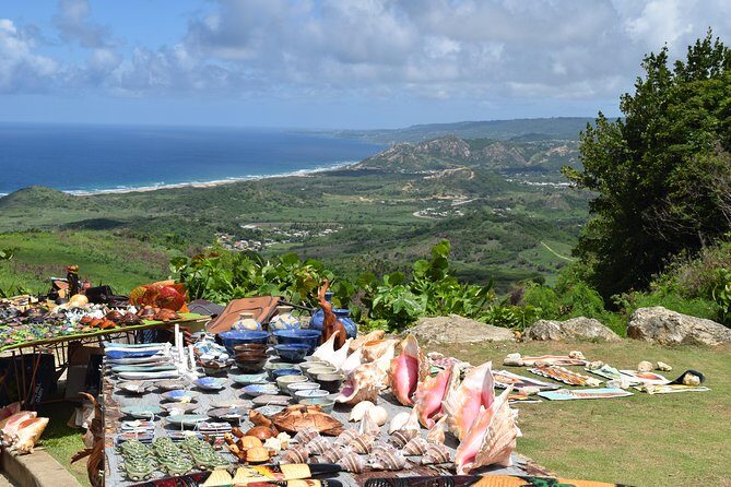 Explore and Discover Barbados By Land & By Sea - A Deep Dive into the Barbados Land & Sea Tour