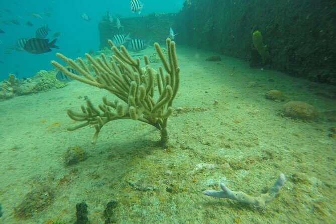 Explore and Discover Barbados By Land & By Sea - Final Thoughts