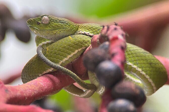 Explore and Learn on a tour of the Magic Monteverde Cloud Forest - Explore and Learn on a tour of the Magic Monteverde Cloud Forest