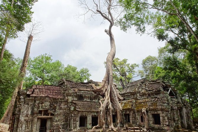 Explore Angkor Wat and Ta Phrom in depth - Final Recommendation