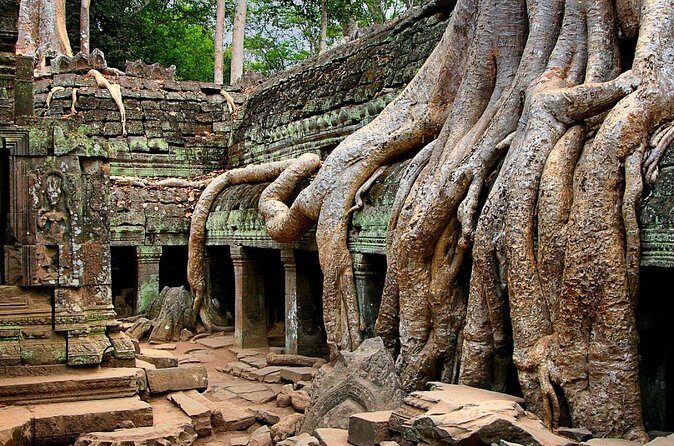 Explore Angkor Wat Temple , Bayon Temple and Jungle Temple Ta-Prohm - Final Thoughts
