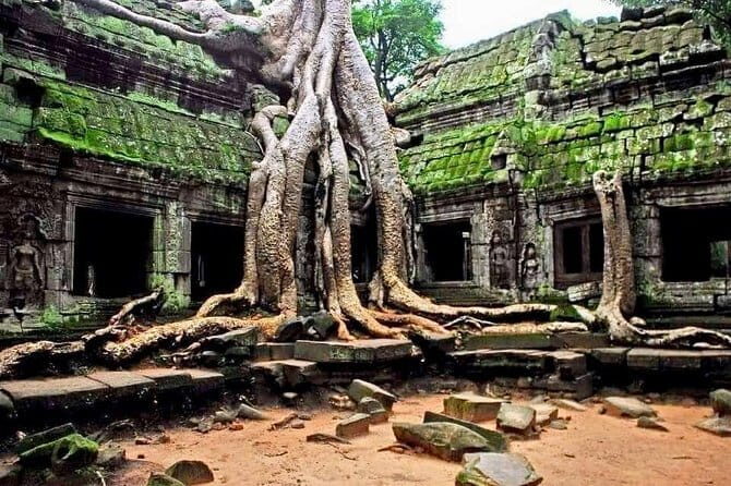 Explore Angkor Wat With TukTuk Tour - Jungle Temples and Small Sites