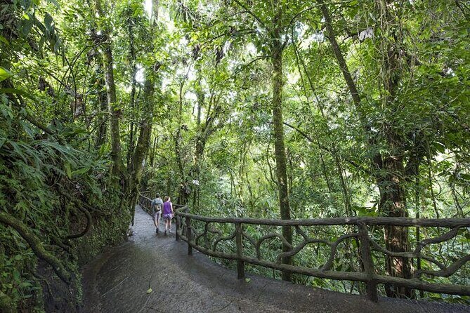 Explore Arenal - One Day Tour Mistico+ Waterfal+ Lunch+ Volcano - Who Should Consider This Tour?