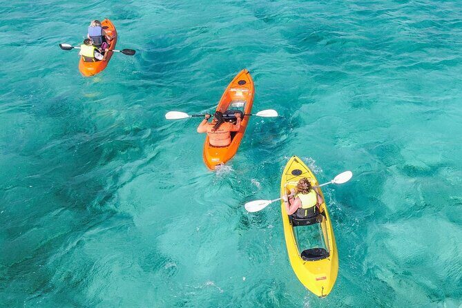 Explore Aruba Coastline with Kayaking Tour - Exploring Aruba’s Coastline with a Kayaking & Snorkeling Tour