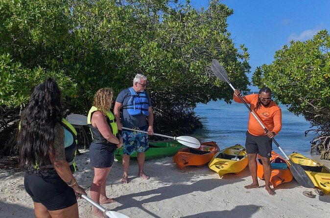 Explore Aruba Coastline with Kayaking Tour - Key Points