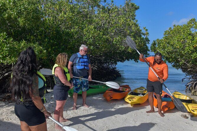 Explore Aruba Coastline with Kayaking Tour - Who Should Consider This Tour?