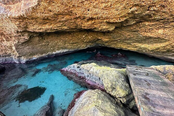 Explore Aruba with Escape Aruba(Private) - Who Would Enjoy This Tour?