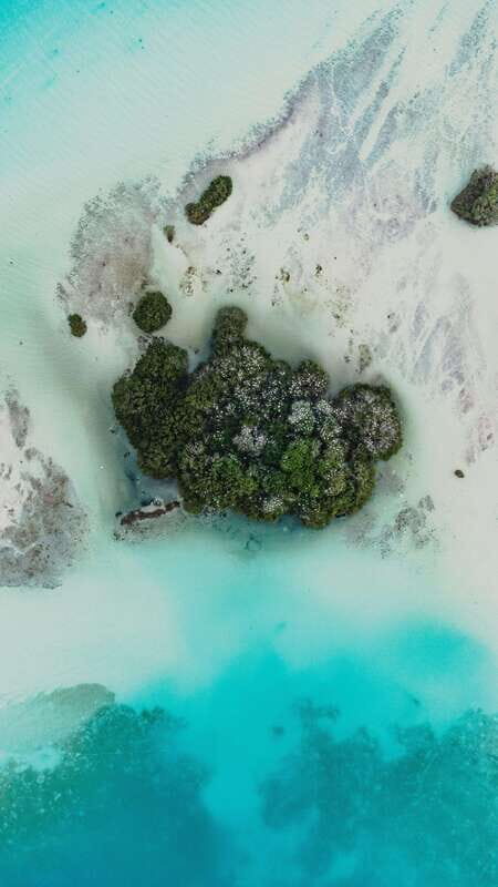 Explore Bacalar Lagoon by Kayak: Full Day Rental - Who Is This Tour Best For?