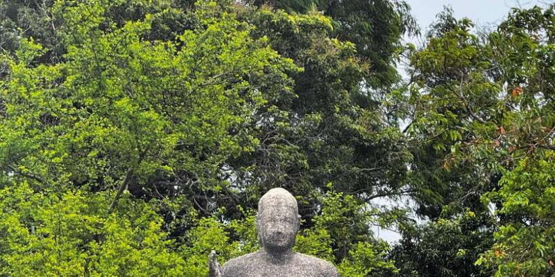 Explore beautiful trincomalee with a tour guide - Key Points