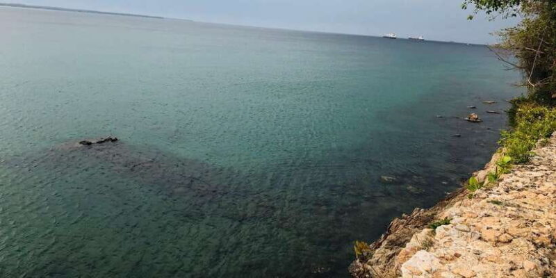 Explore beautiful trincomalee with a tour guide - What Travelers Say