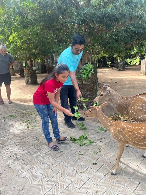 Explore beautiful trincomalee with a tour guide - Transportation and Group Size