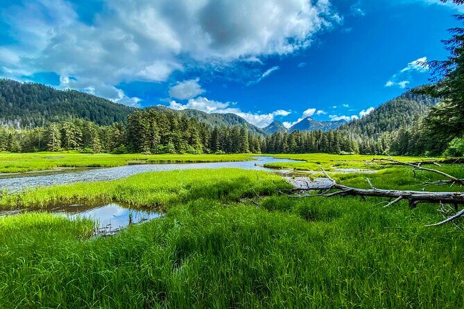 Explore Beyond the Dock: Unforgettable Private Tour in Sitka - An In-Depth Look at the Beyond the Dock Tour in Sitka