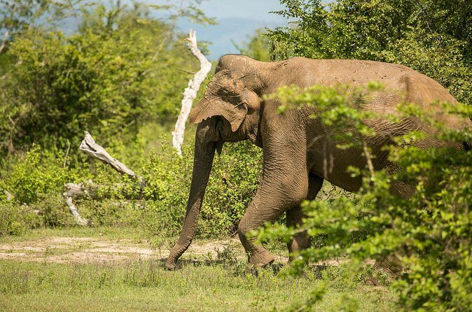 Explore Beyond the Ordinary - Final Thoughts