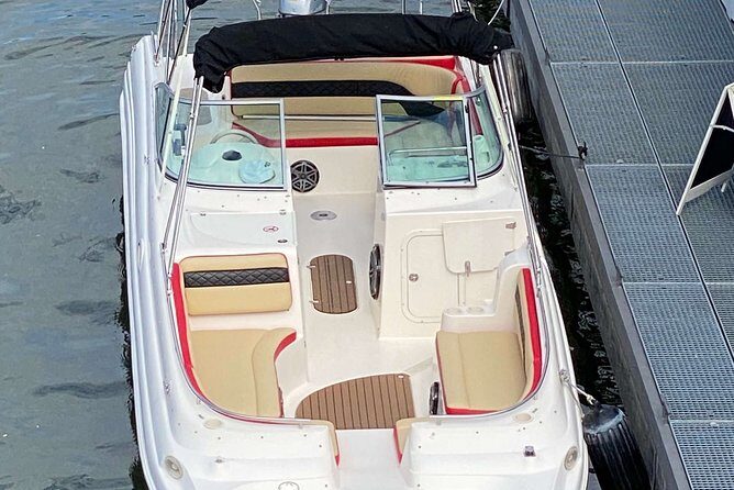 Explore Bird & Marine Wildlife private Boat Tour in English - A More Detailed Look at the Experience