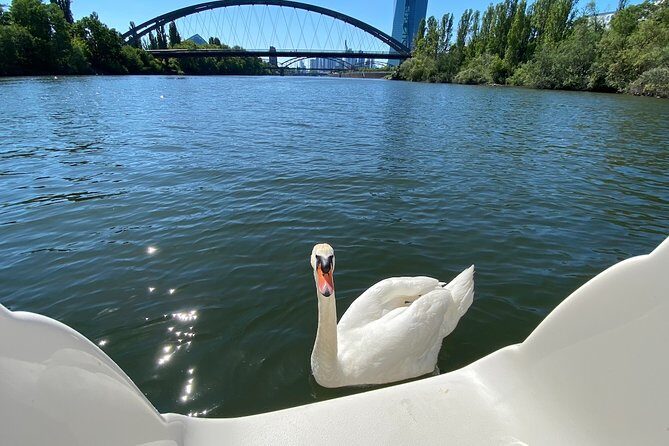 Explore Bird & Marine Wildlife private Boat Tour in English - Why This Tour Stands Out