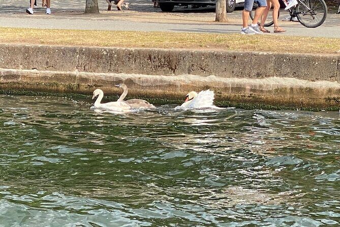 Explore Bird & Marine Wildlife private Boat Tour in English - Frequently Asked Questions