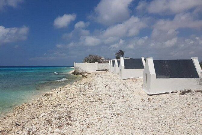 Explore Bonaire: North & South Tour - Who Should Consider This Tour?