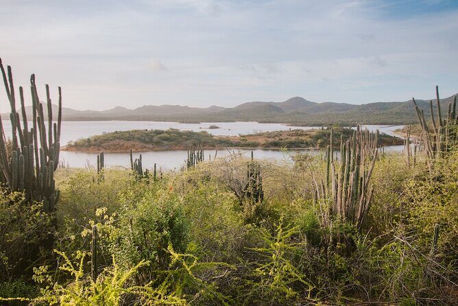 Explore Bonaire: North & South Tour - FAQs