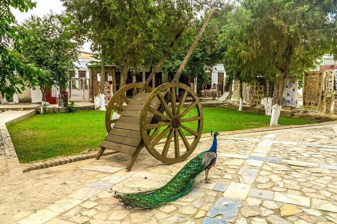 Explore Bukhara's Countryside with a Traditional Lunch Experience - Exploring Bukhara’s Countryside with a Traditional Lunch: A Complete Guide