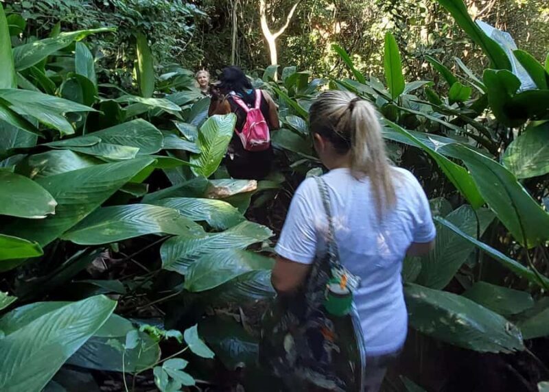 Explore Búzios: Stunning Views on the Emerências Trail - The Journey and Your Experience