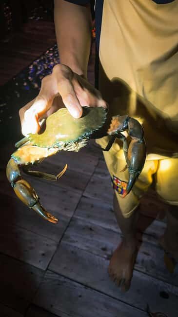 Explore Ca Mau: Dat Mui National Park - Key Points