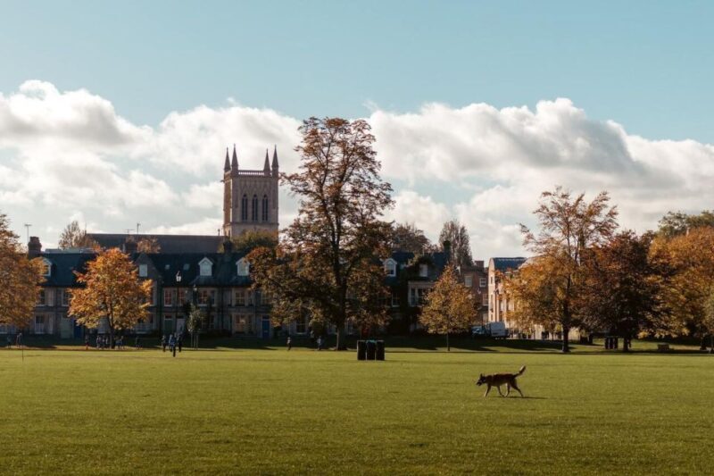 Explore Cambridge with Family  Private Walking Tour - Ending Near the University Museum of Zoology