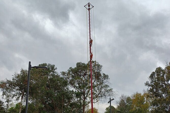 Explore Chapultepec & Mexico City sights by Bike - The Ride and Group Dynamics