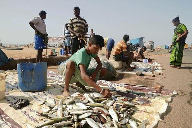 Explore Chennai Private Car Tour Experience - Frequently Asked Questions