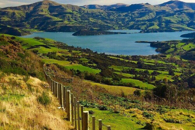 Explore Christchurch (2hr Guided Private Walk) - Frequently Asked Questions