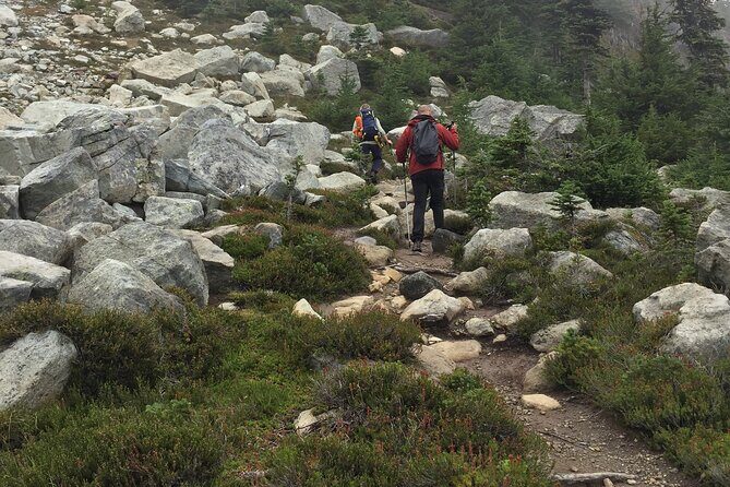 Explore Coastal Mountain Treasures: Scenic Hike from Squamish, BC - Why This Tour Holds Value