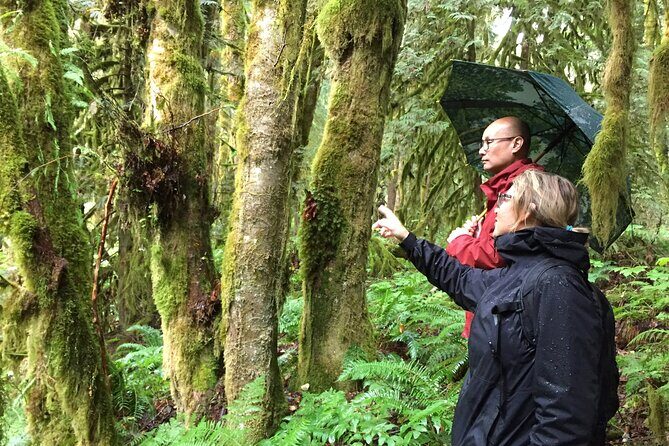 Explore Coastal Mountain Treasures: Scenic Hike from Squamish, BC - FAQ