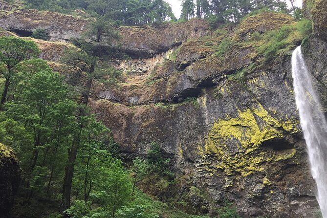 Explore Columbia River Gorge Half-Day Small-Group Hiking Tour - A Deep Dive into the Gorge Experience