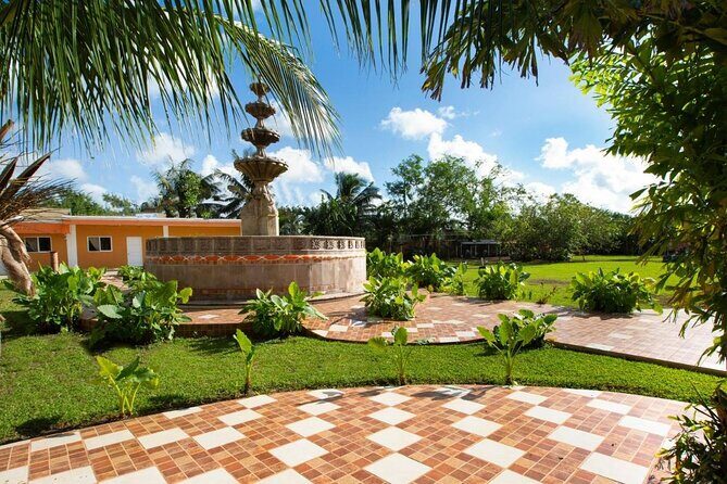 Explore Cozumel by Buggy with Beach Break & Tequila Tasting - Frequently Asked Questions