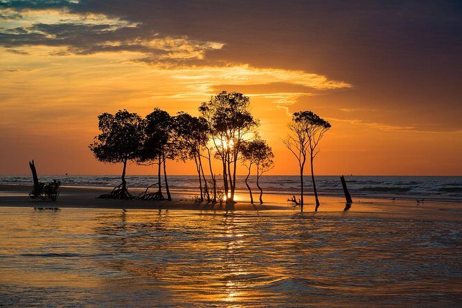 Explore Delightful Darwin: Self-Guided Audio Tour - Exploring Darwin with the Self-Guided Audio Tour