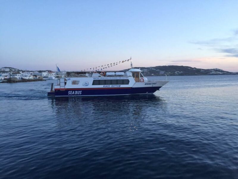 Explore Delos & Rhenia - What Travelers Say: Authentic Perspectives