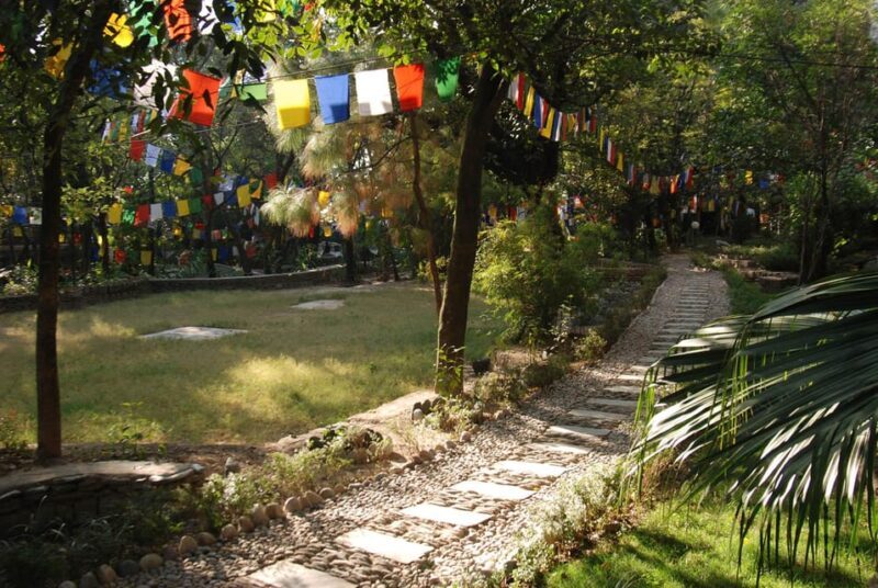 Explore Dharamshala's monasteries for Tibetan spirituality - Thosamling Nunnery: The Female Monastic Tradition