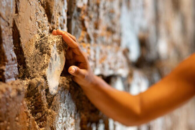 Explore Dominicania Culture Family Friendly Experience - The Sum Up: Who Will Love This Tour?