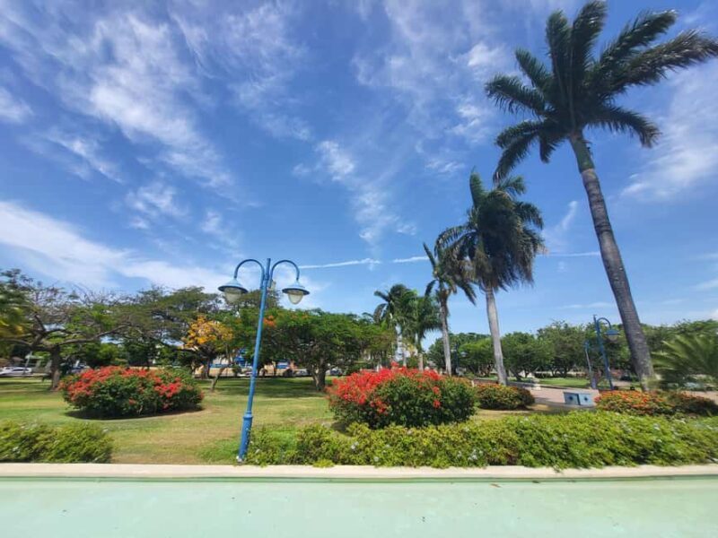 Explore Downtown Kingston and New Kingston: - The Sum Up