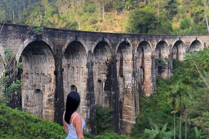 Explore Ella Highlights in a Private Guided Tour - Key Points