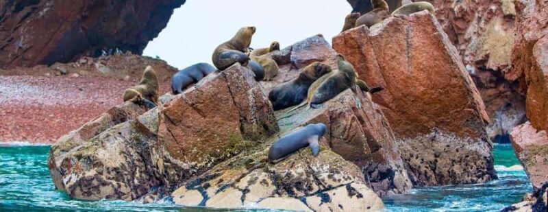 Explore Enchanted Peru in 7 Days/ ICA - PUNO - Starting in Ica: The Coastal Charm and Desert Dunes