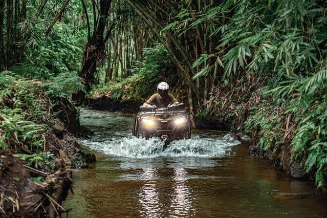 Explore Gorilla Cave by ATV in Ubud - Monkey Forest and Waterfall - The Details of the Ubud Gorilla Cave ATV Experience