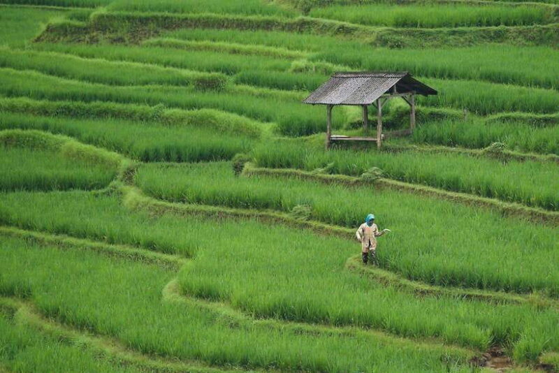 EXPLORE HA GIANG- MA PI LENG - NHO QUE RIVER 3 DAYS 2 NIGHTS - A Closer Look at the Ha Giang 3-Day Experience