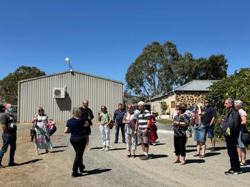 Explore Hahndorf & Barossa Valley (incl lunch and tastings!) - Explore Hahndorf & Barossa Valley (incl lunch and tastings!)