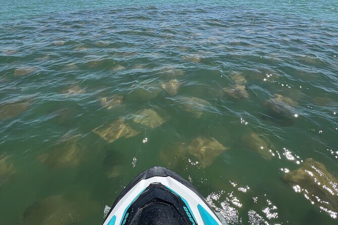 Explore Hidden Islands and Dolphins Jet Ski Adventure - Analyzing the Value and Experience