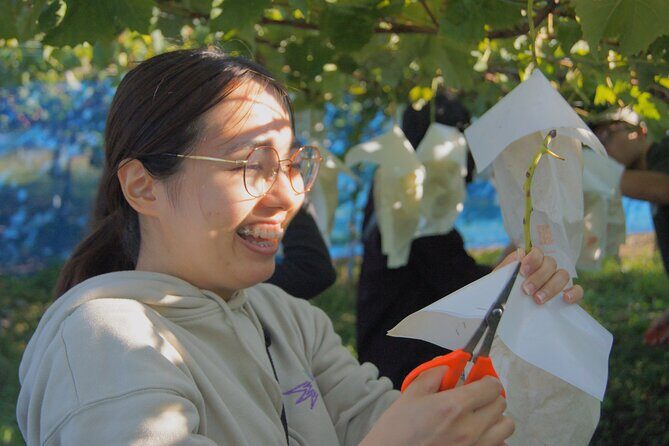 Explore Hidden Japan: Obuse Bike Tour & Orchard Picnic - Final Thoughts: Is It Worth It?